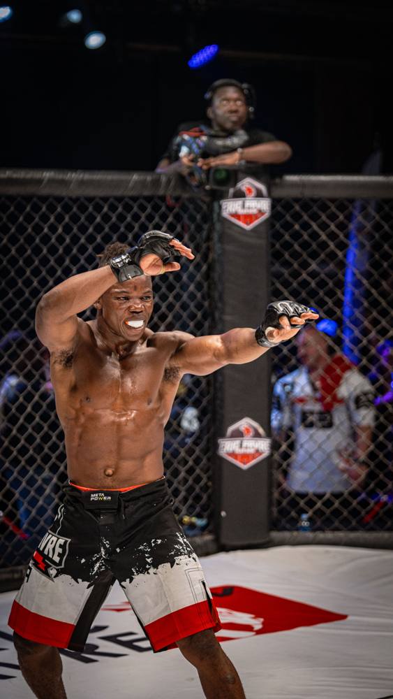 MMA — LES'ART GROUP
