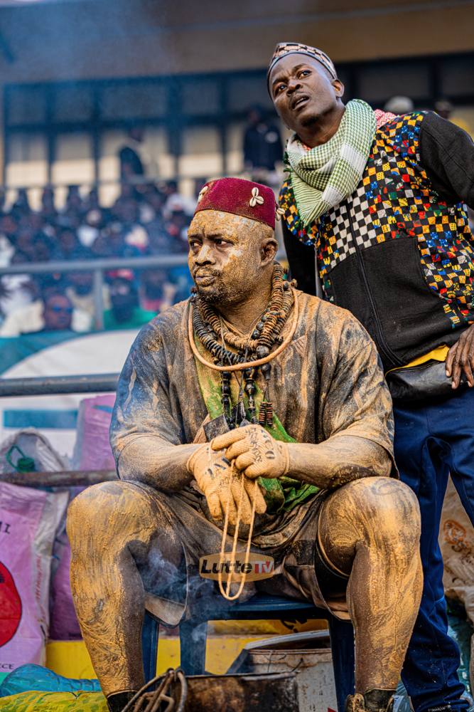 Lutte sénégalaise — LES'ART GROUP