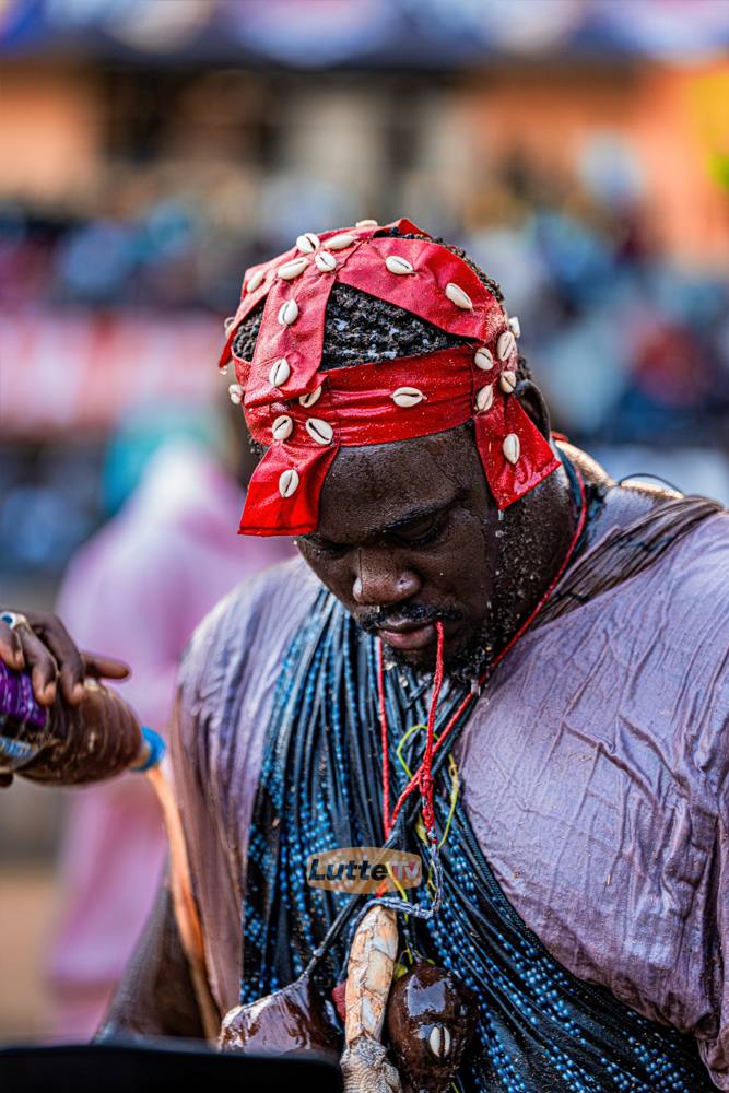 Lutte sénégalaise — LES'ART GROUP
