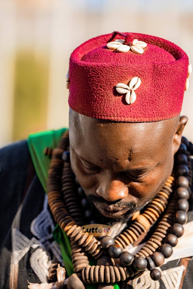 Lutte sénégalaise — LES'ART GROUP